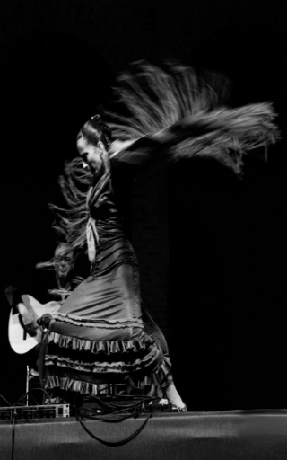 espectaculo flamenco en Alicante