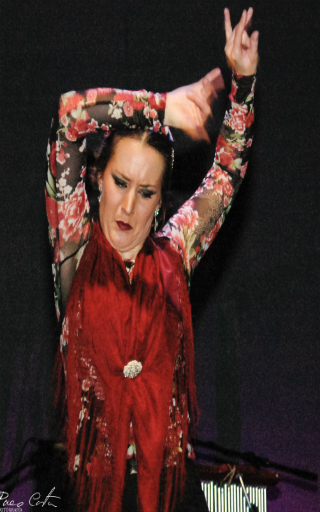 flamenco Alicante