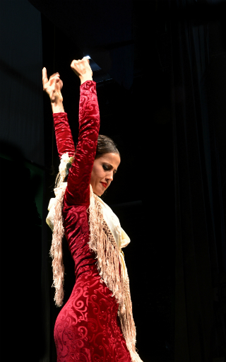 mantón flamenco Alicante