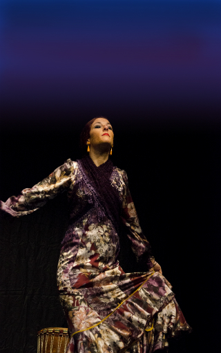 tablao flamenco Alicante