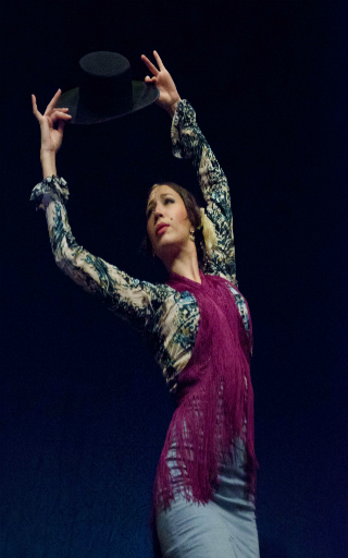 spectacle flamenco Alicante